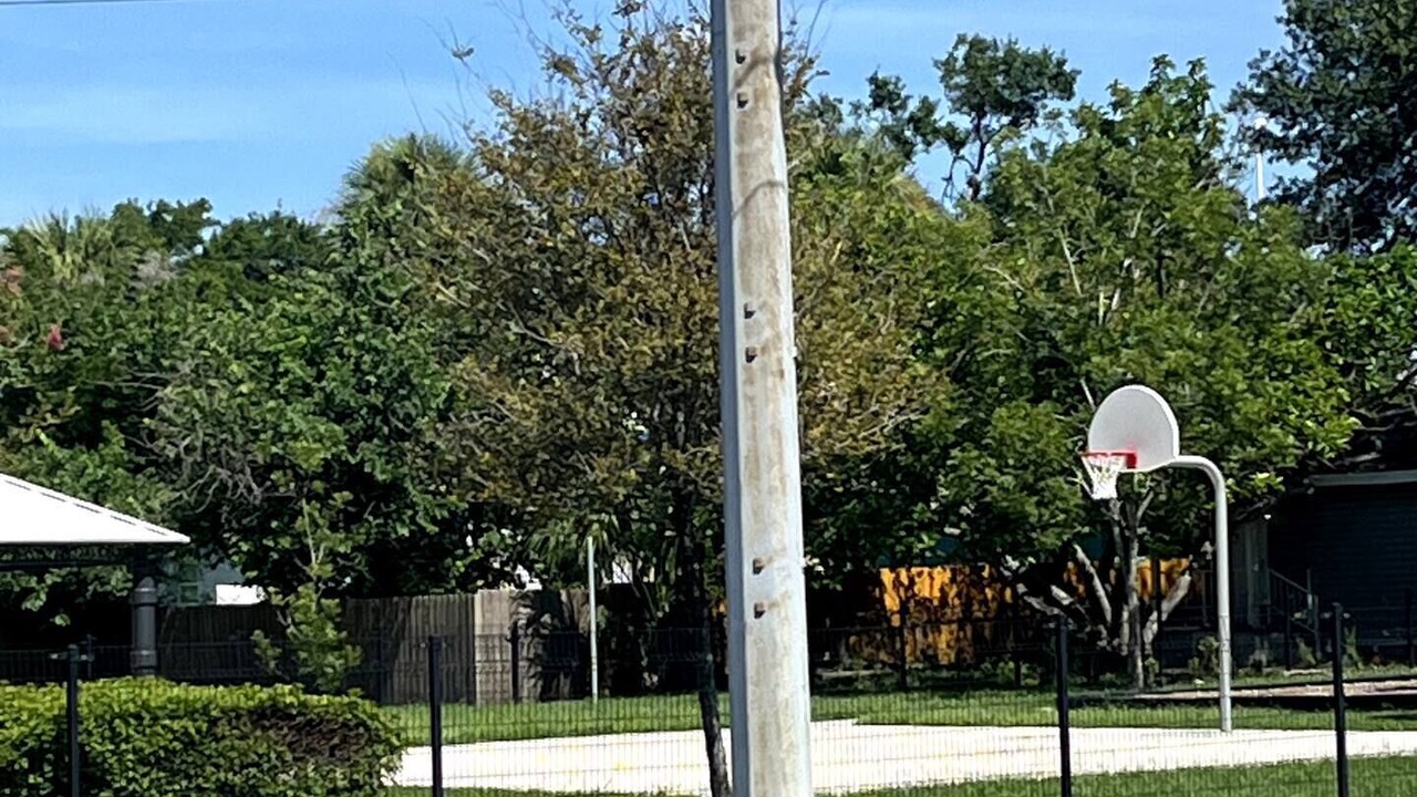 Photo of Outdoor in East Ybor