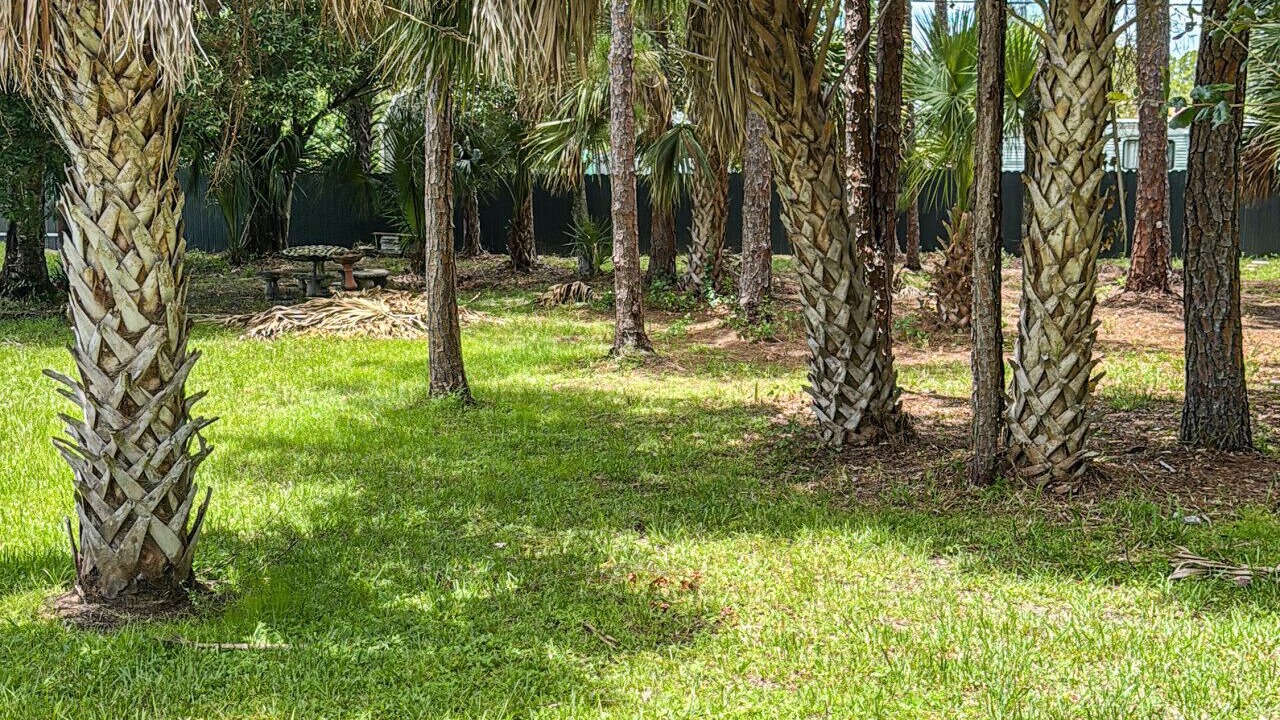 Photo of Outdoor in Lehigh Acres