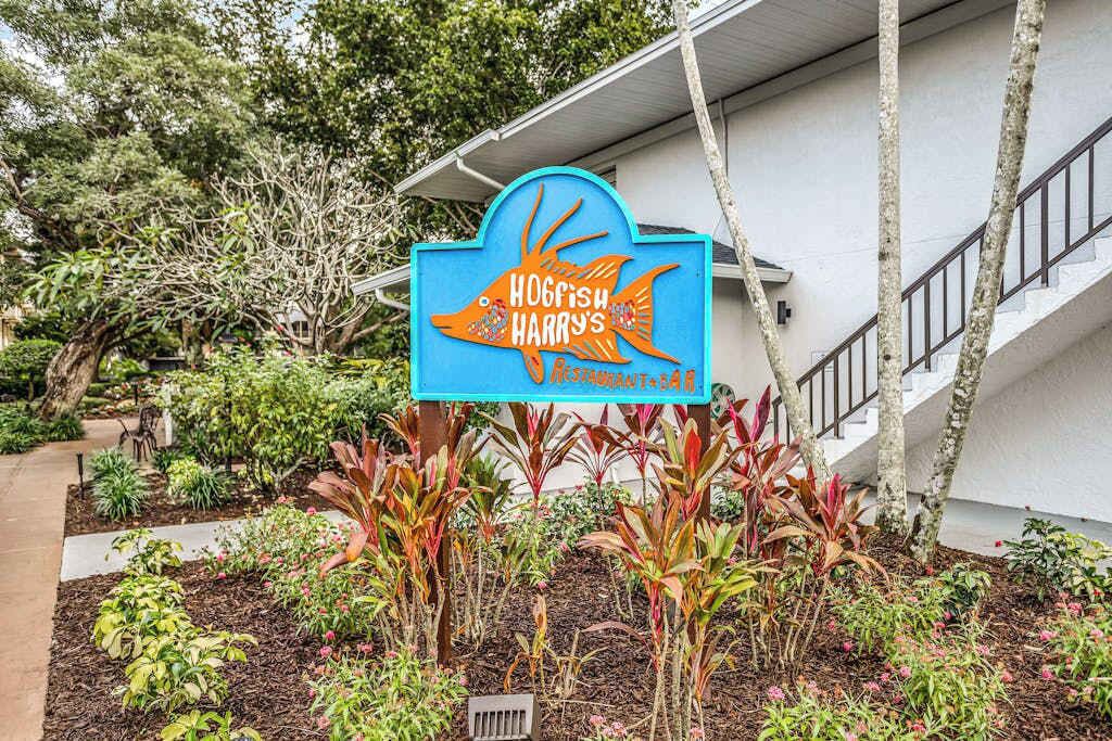 Photo of Outdoor in Park Shore