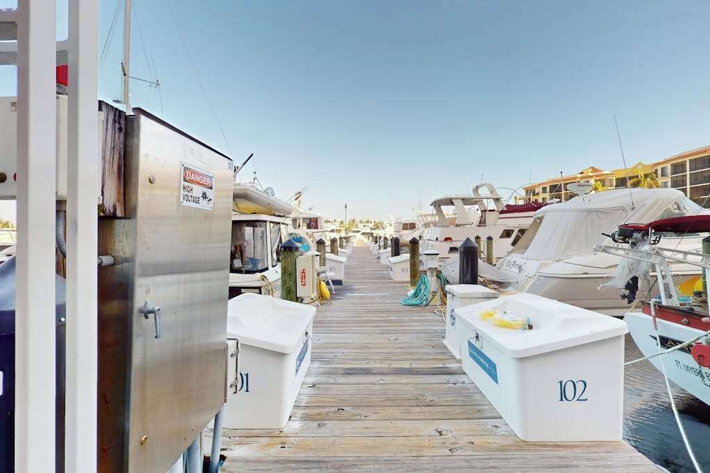 Photo of Others in Cape Harbour
