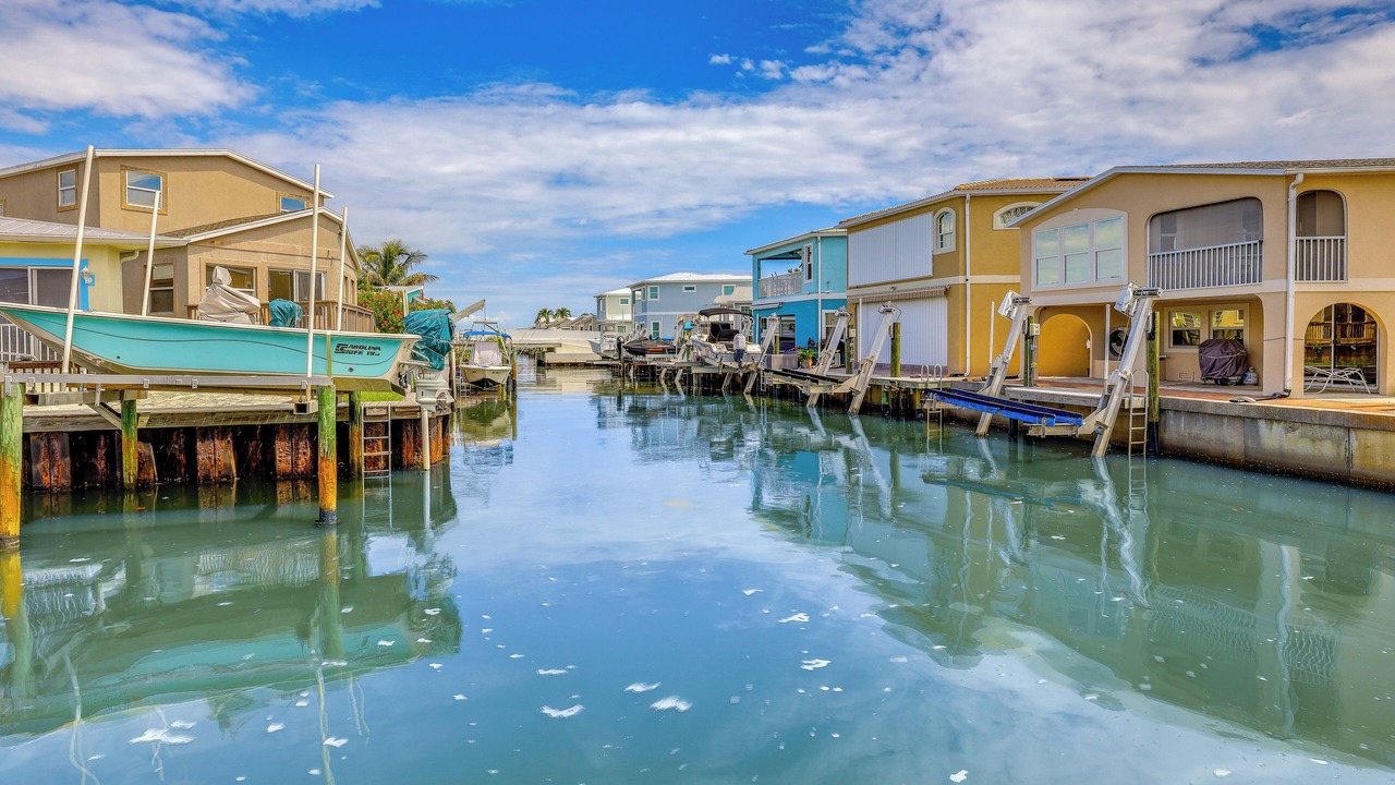 Photo of Others in Nettles Island