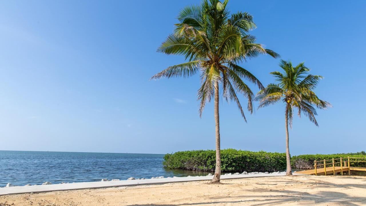 Photo of Others in Islamorada