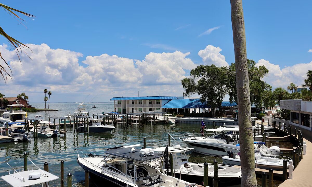 Photo of Others in Pinellas Point