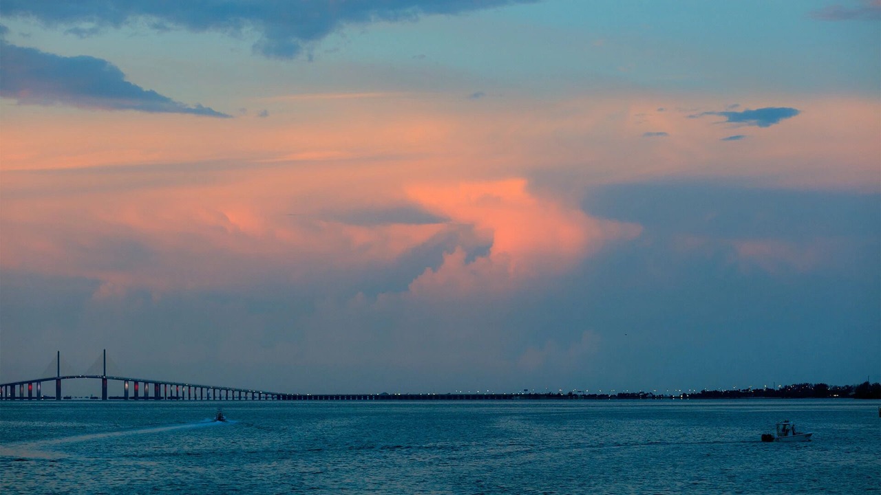 Photo of Others in Pinellas Point