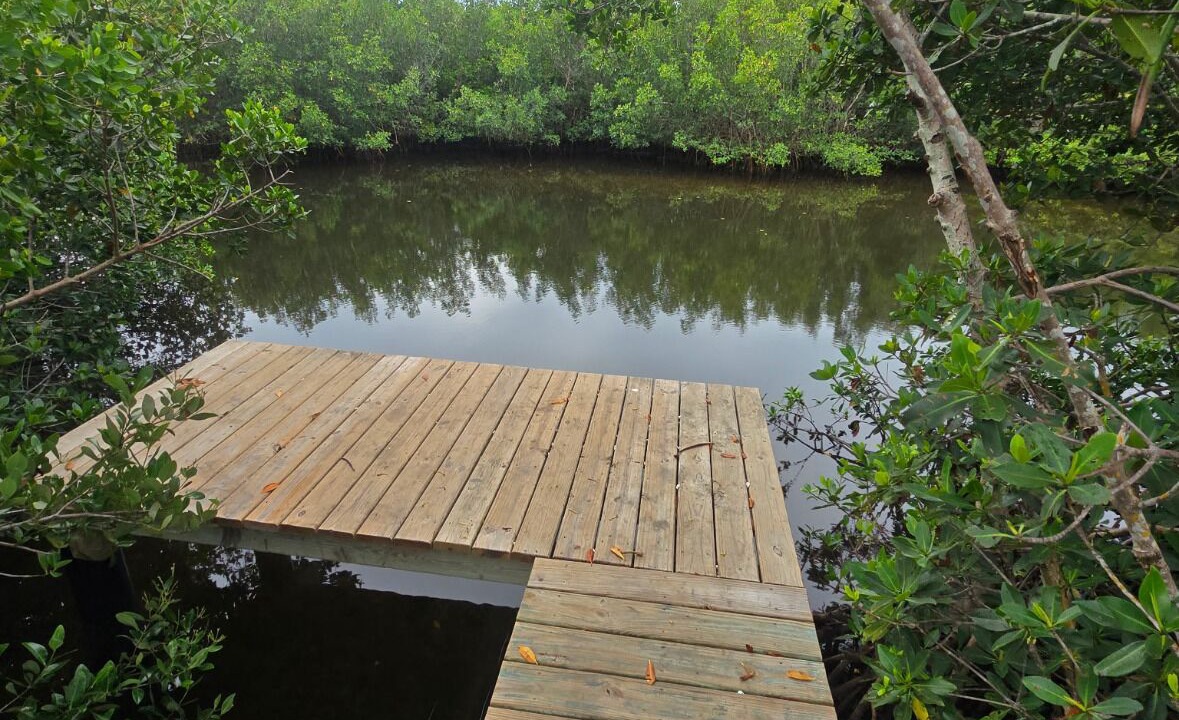 Photo of Outdoor in Palmetto