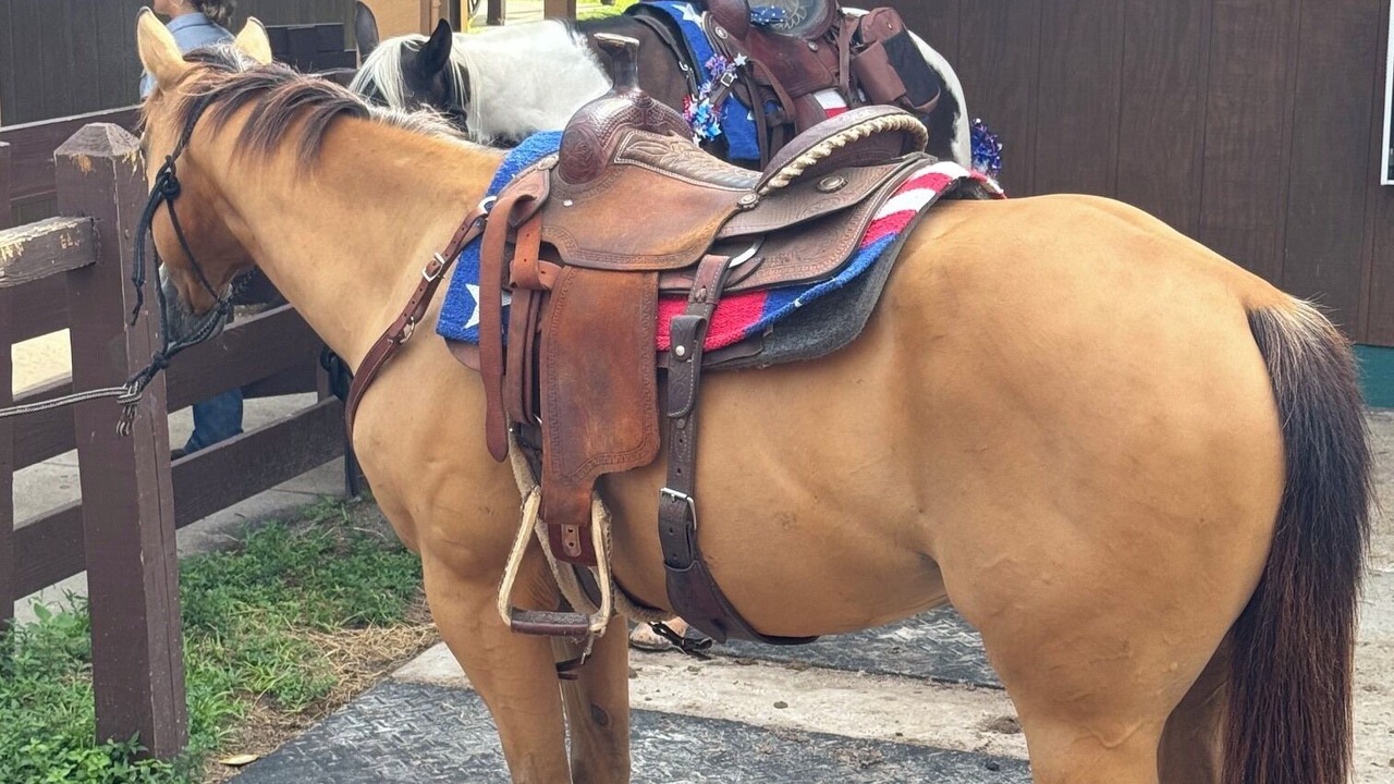 Photo of Others in River Ranch