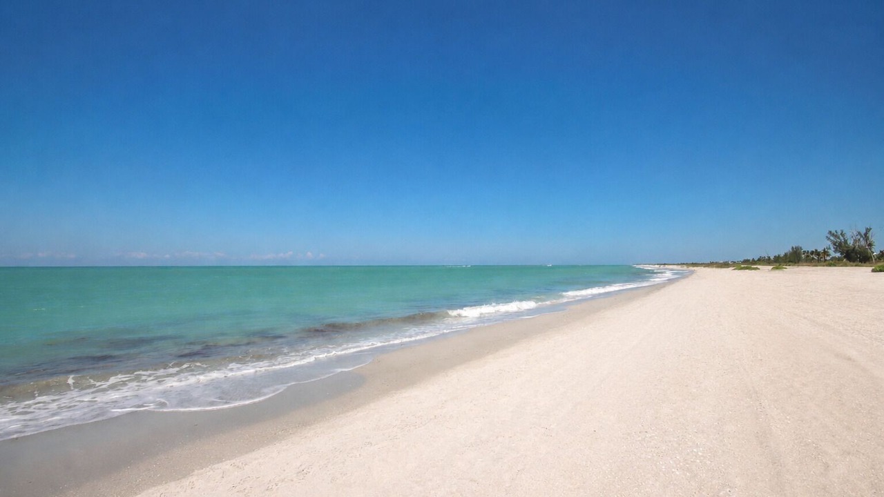 Photo of Others in Sanibel
