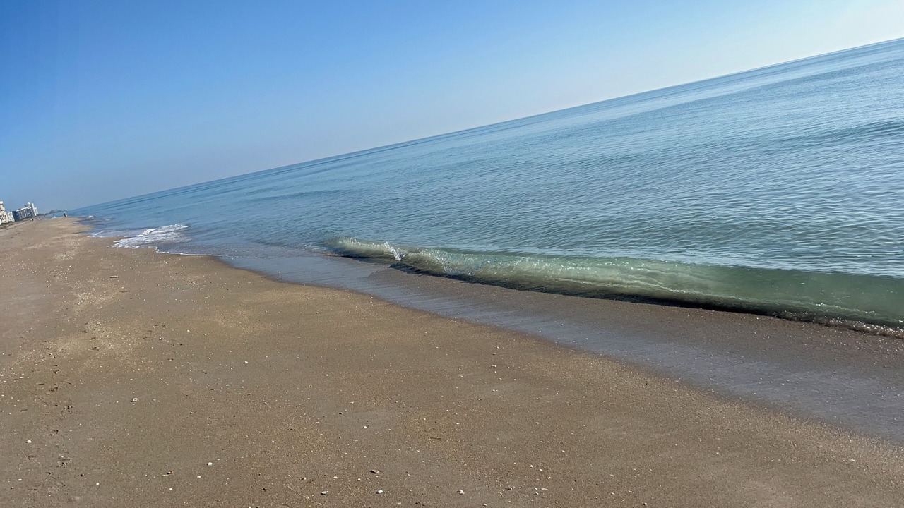 Photo of Others in Hutchinson Island South