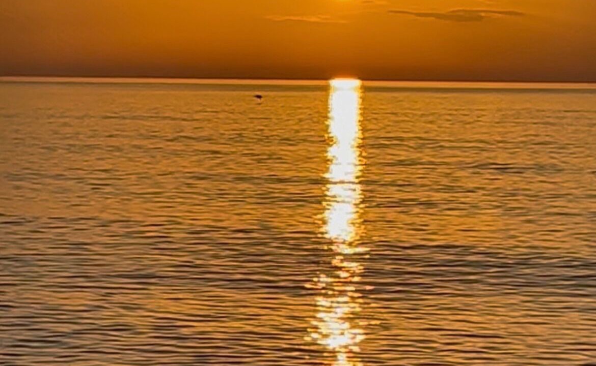 Photo of Others in Hutchinson Island South