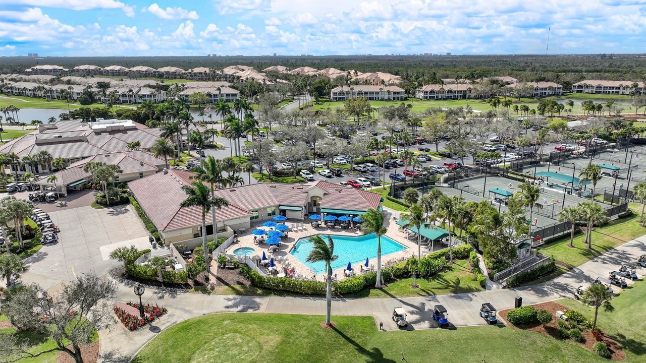Photo of Others in Tropical Cove