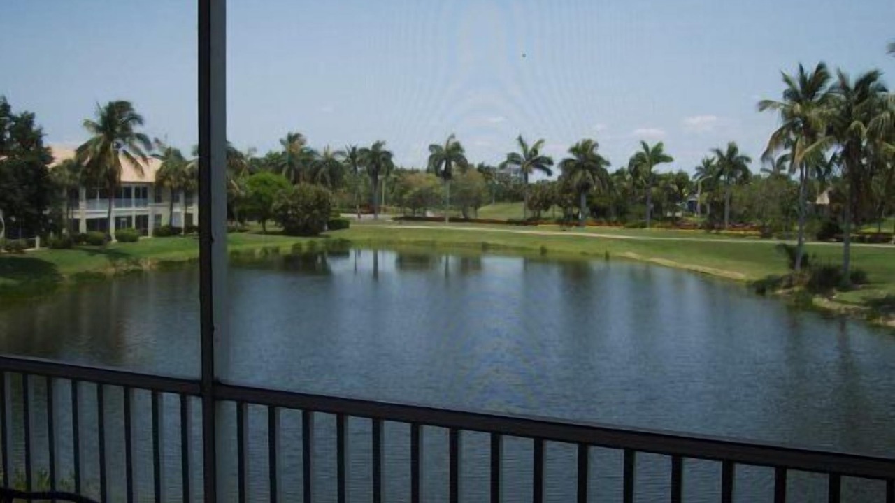 Photo of Others in Tropical Cove