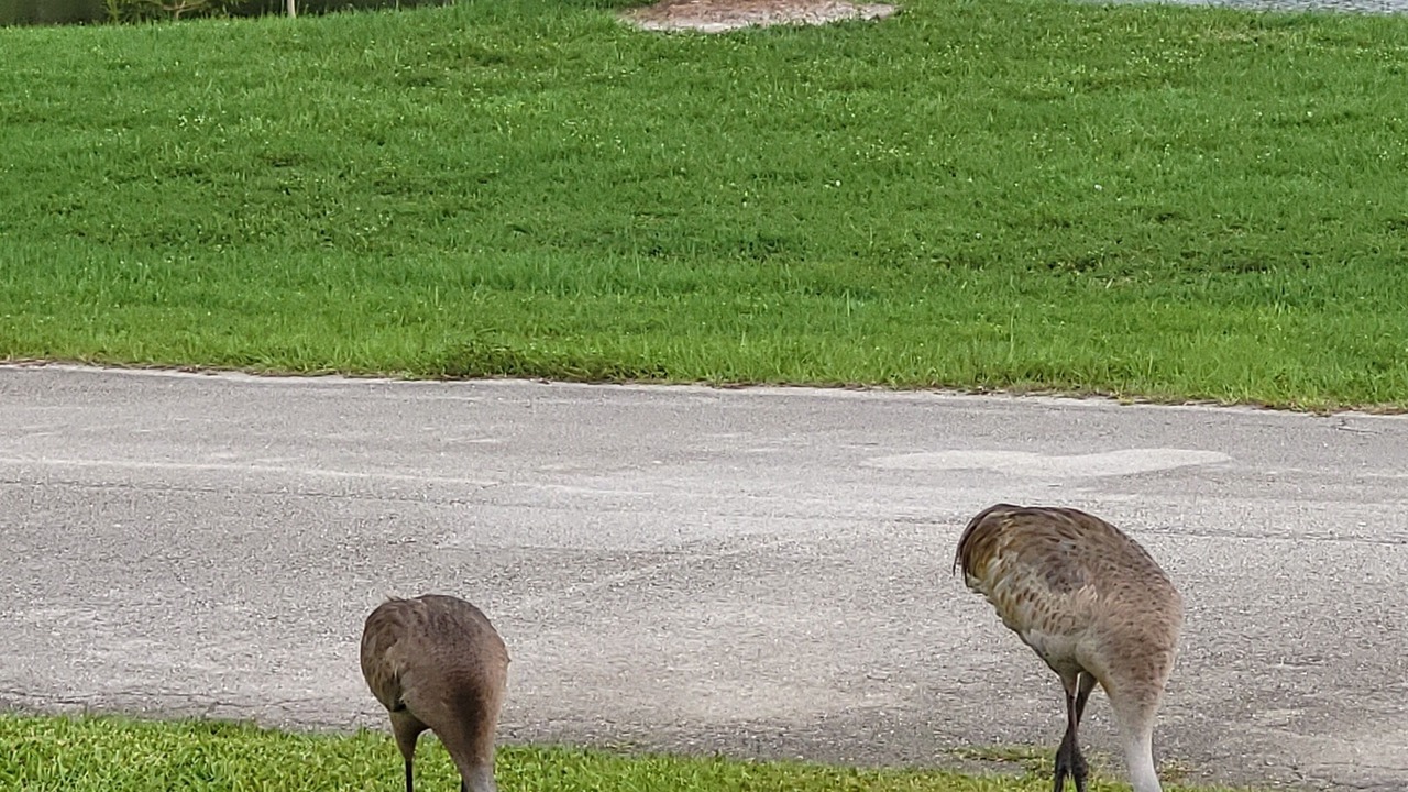 Photo of Outdoor in Port Saint Lucie