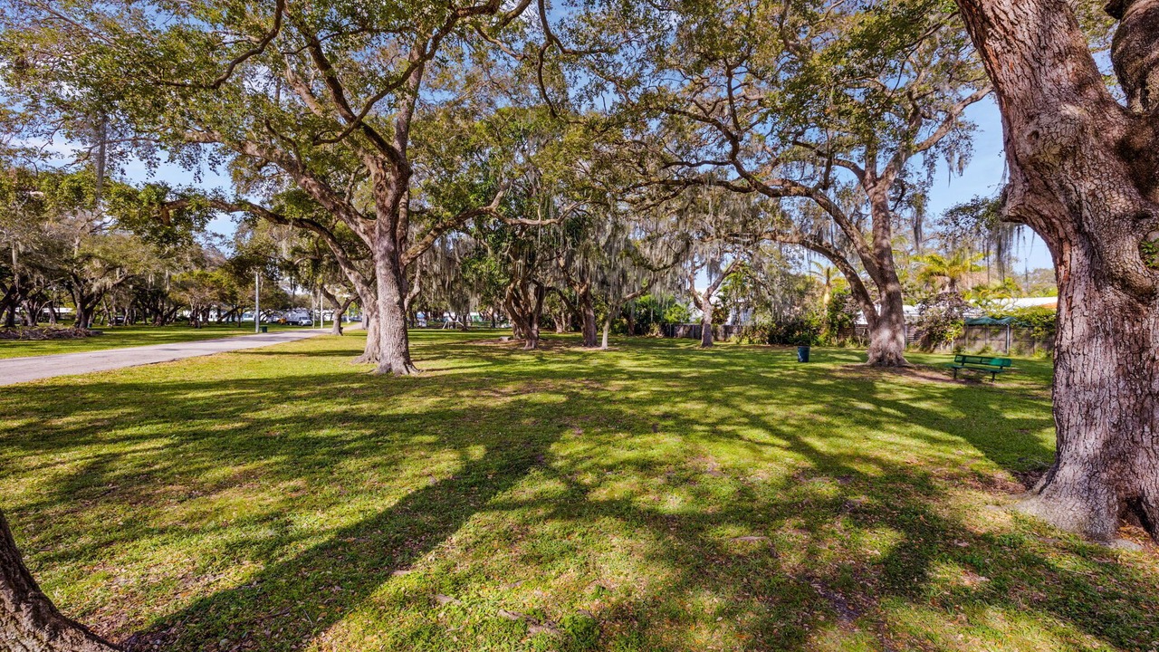 Photo of Others in Northeast Miami