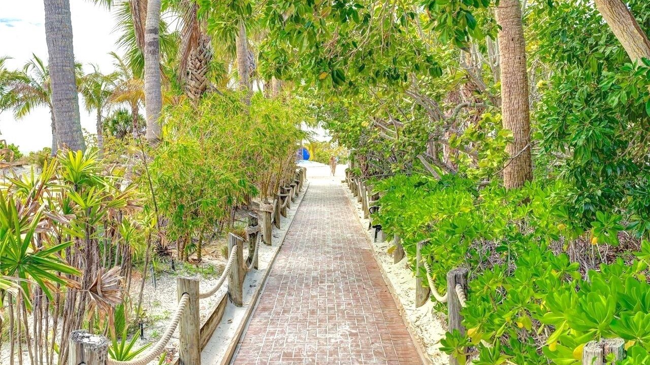 Photo of Others in Siesta Key