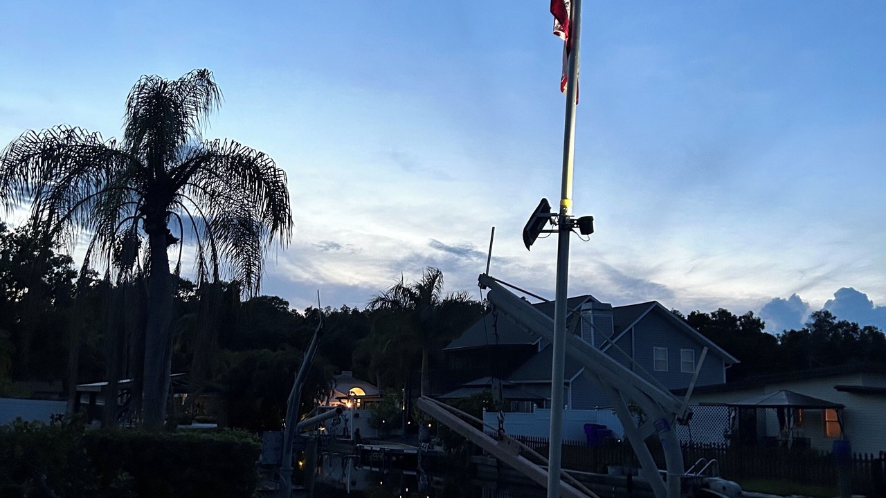 Photo of Others in Palm Harbor