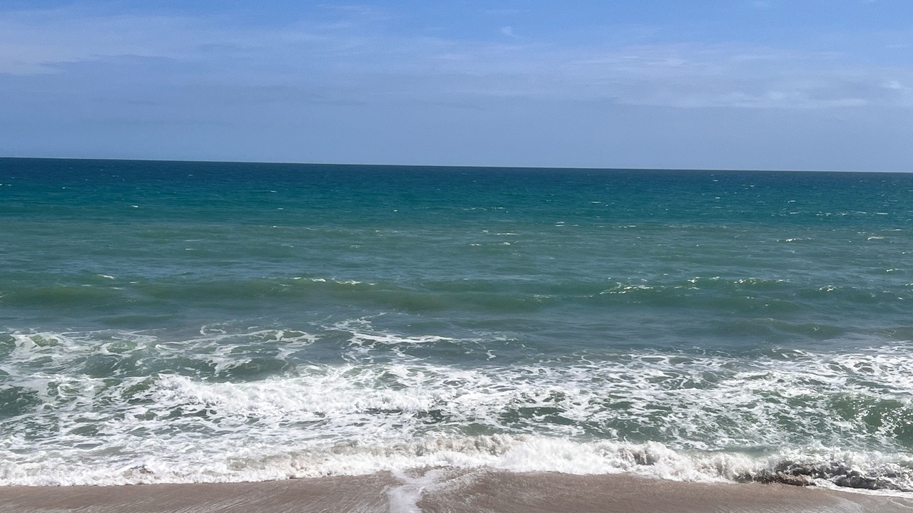 Photo of Others in Melbourne Beach