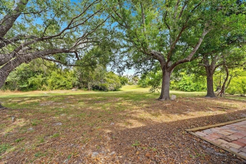 Photo of Outdoor in Deep Creek
