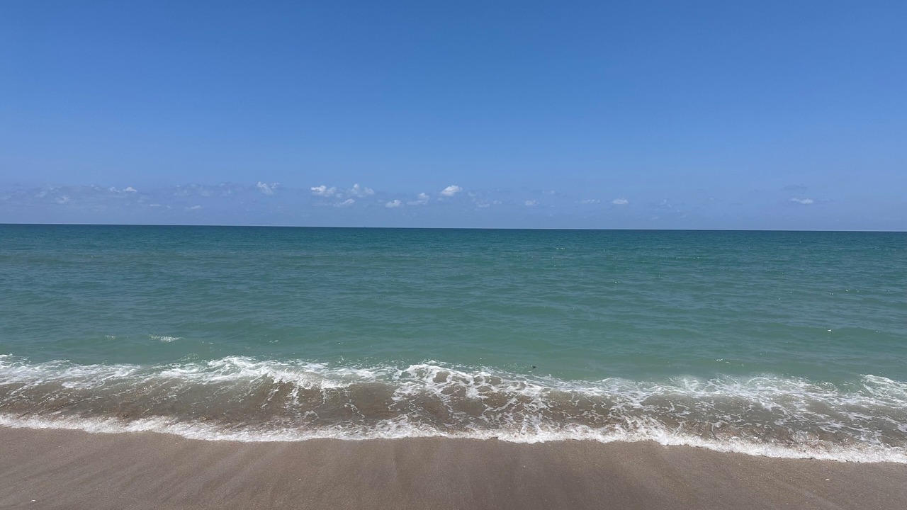 Photo of Others in Stuart