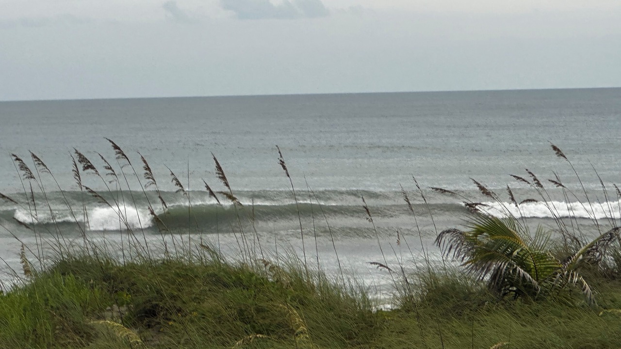 Photo of Others in Stuart