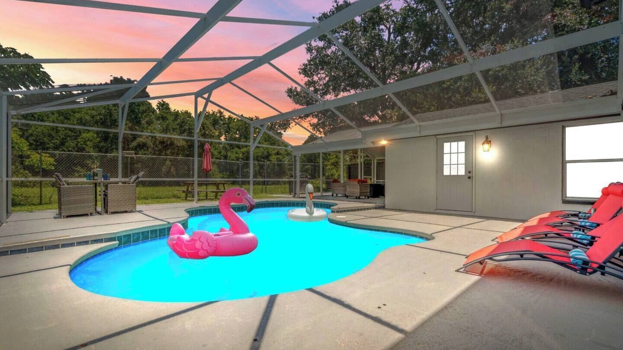 Photo of Outdoor in Tampa