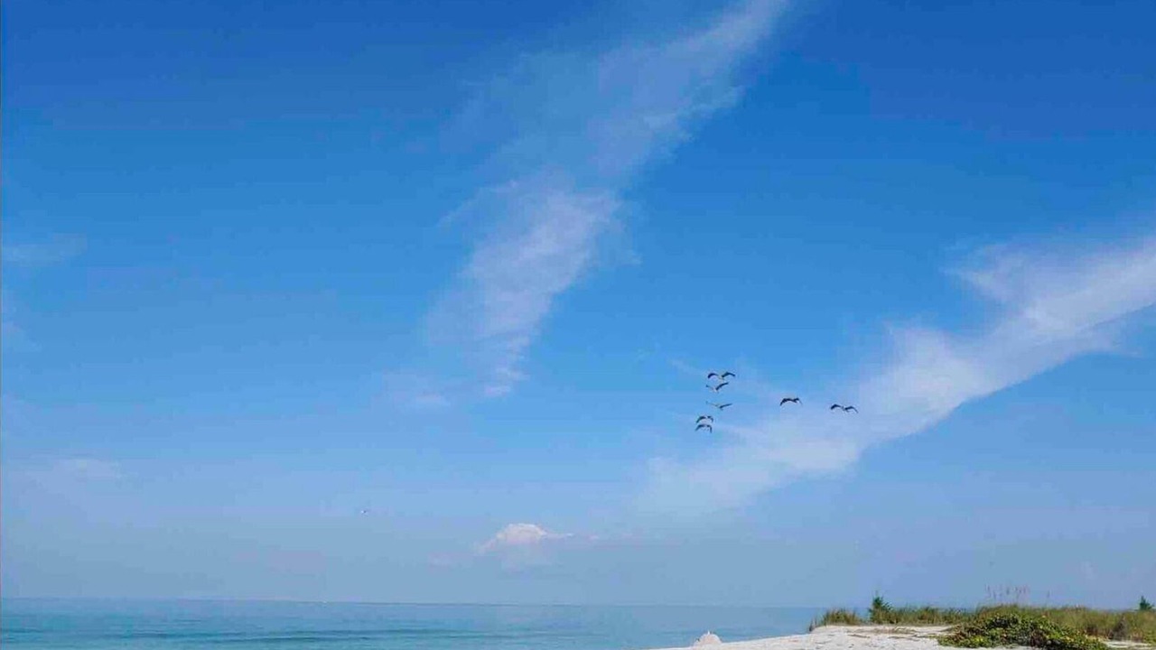 Photo of Others in Golden Beach
