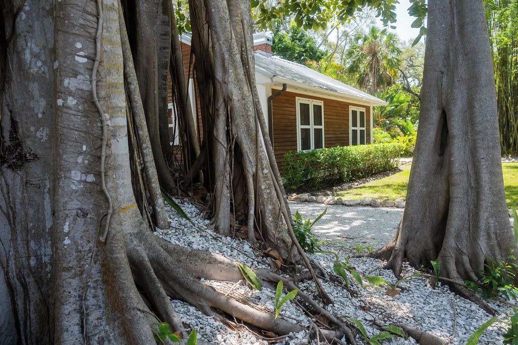 Photo of Outdoor in Indian Beach Sapphire Shores