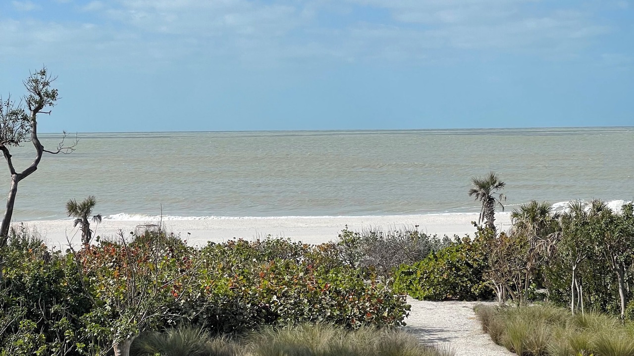 Photo of Others in Sanibel