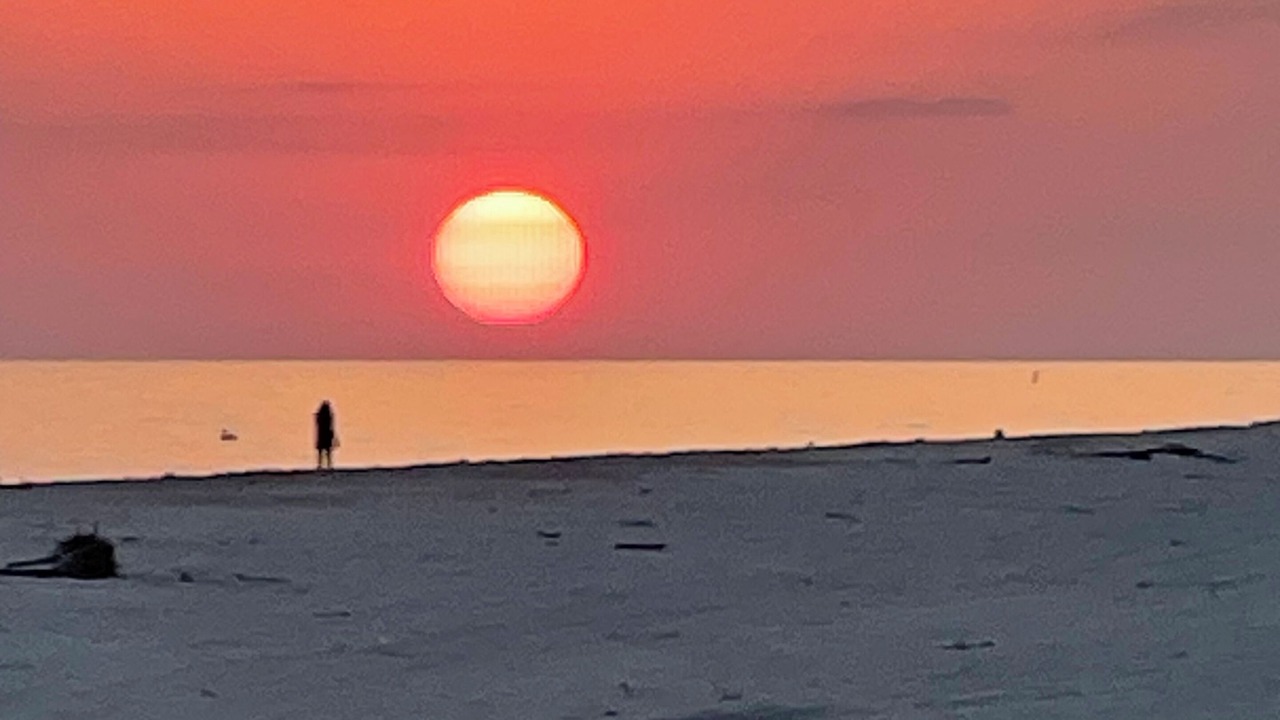 Photo of Others in Sanibel