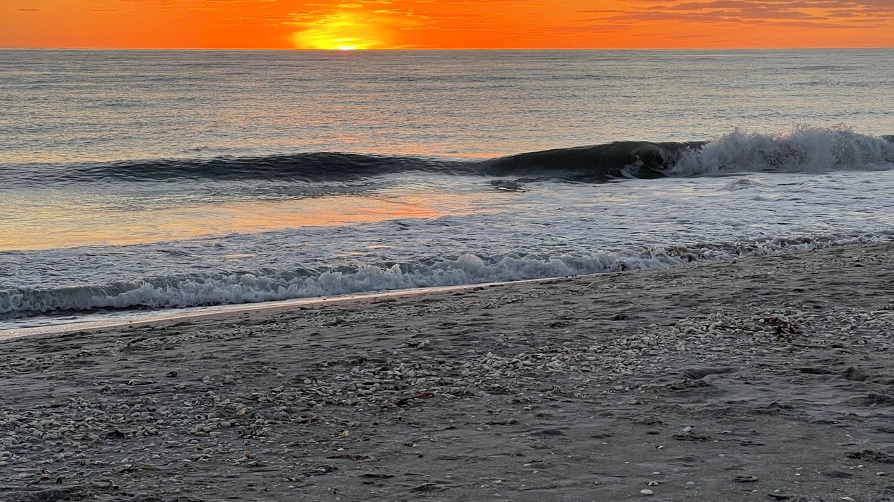 Photo of Others in Sanibel