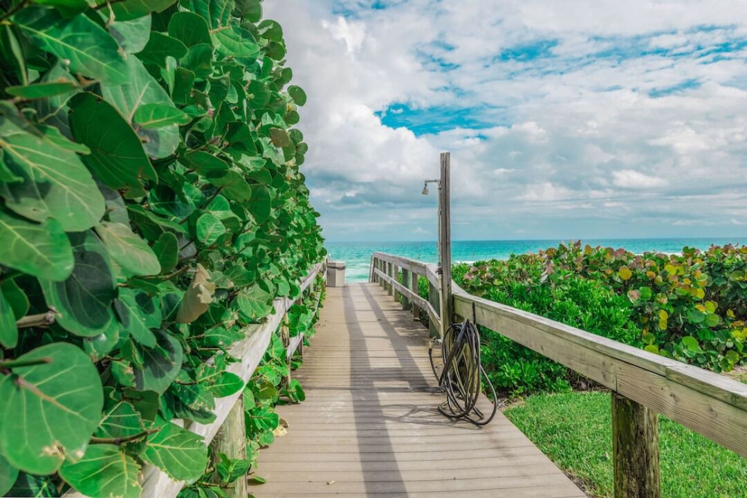 Photo of Others in Hutchinson Island South