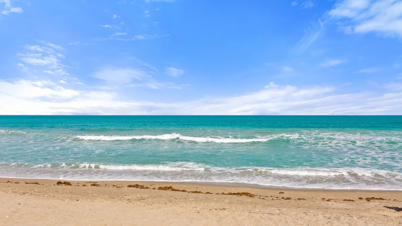 Photo of Others in Hutchinson Island South