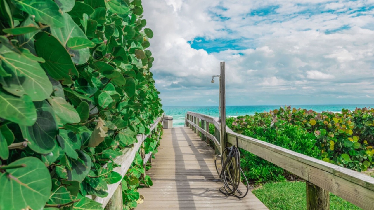 Photo of Others in Hutchinson Island South