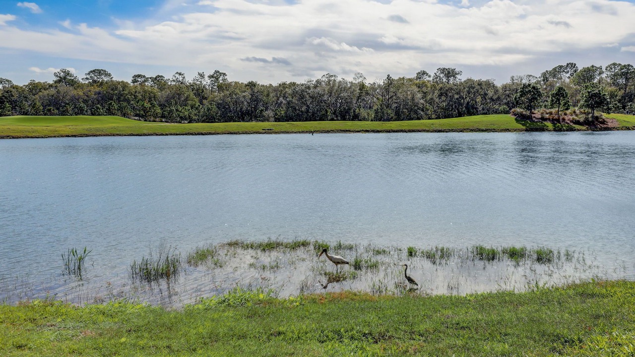 Photo of Others in Lakewood Ranch