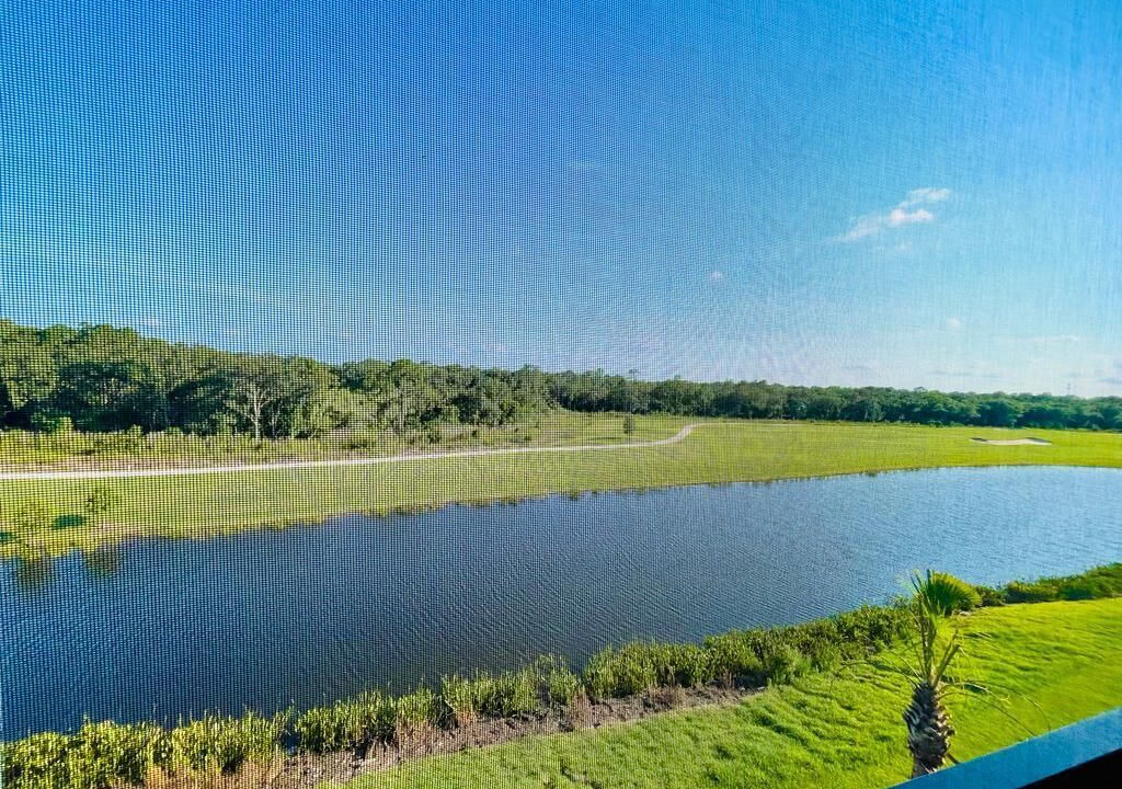 Photo of Others in Braden River