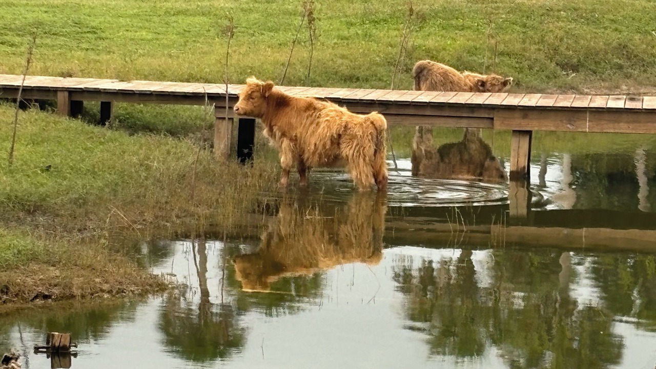 Photo of Others in Palm City