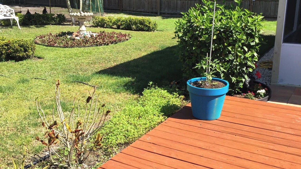 Photo of Outdoor in Port Saint Lucie