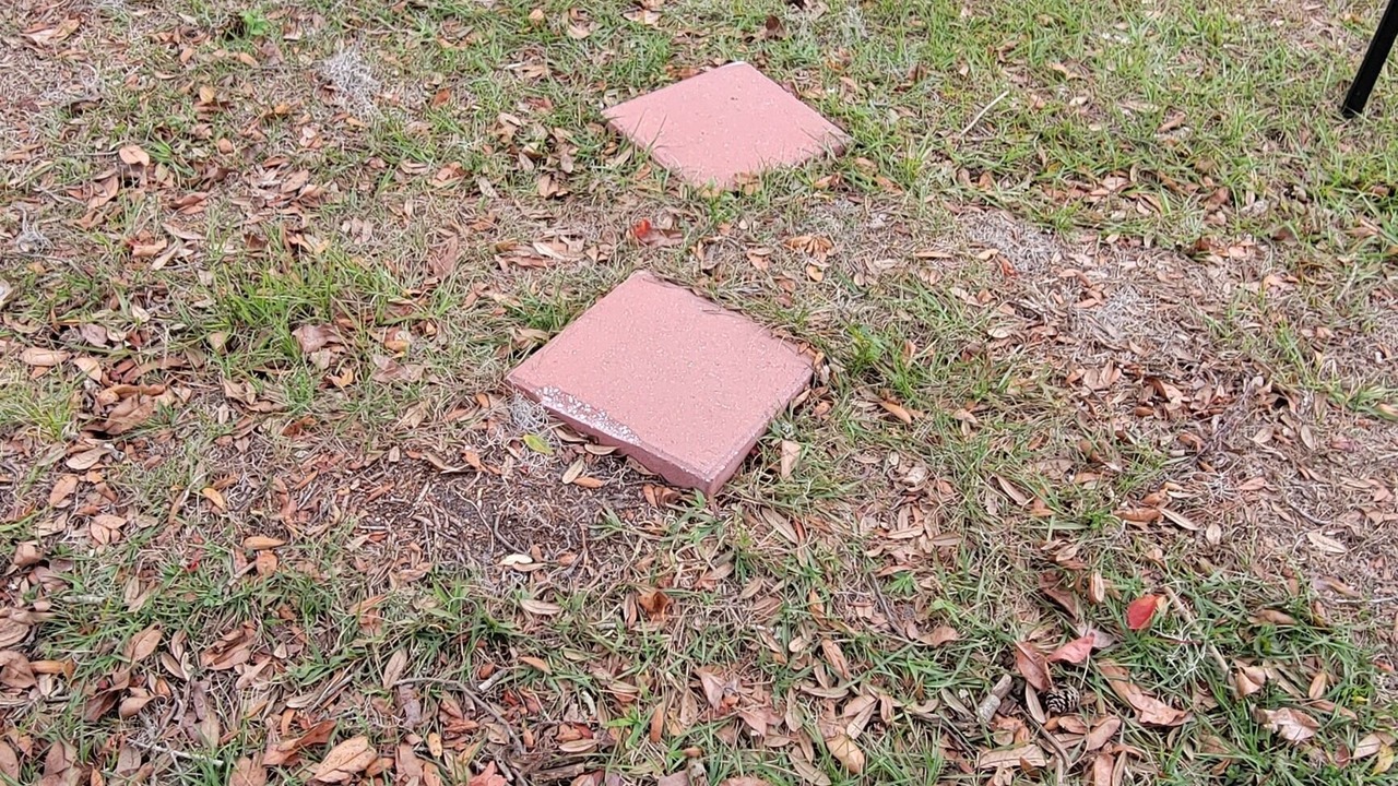Photo of Outdoor in Riverview