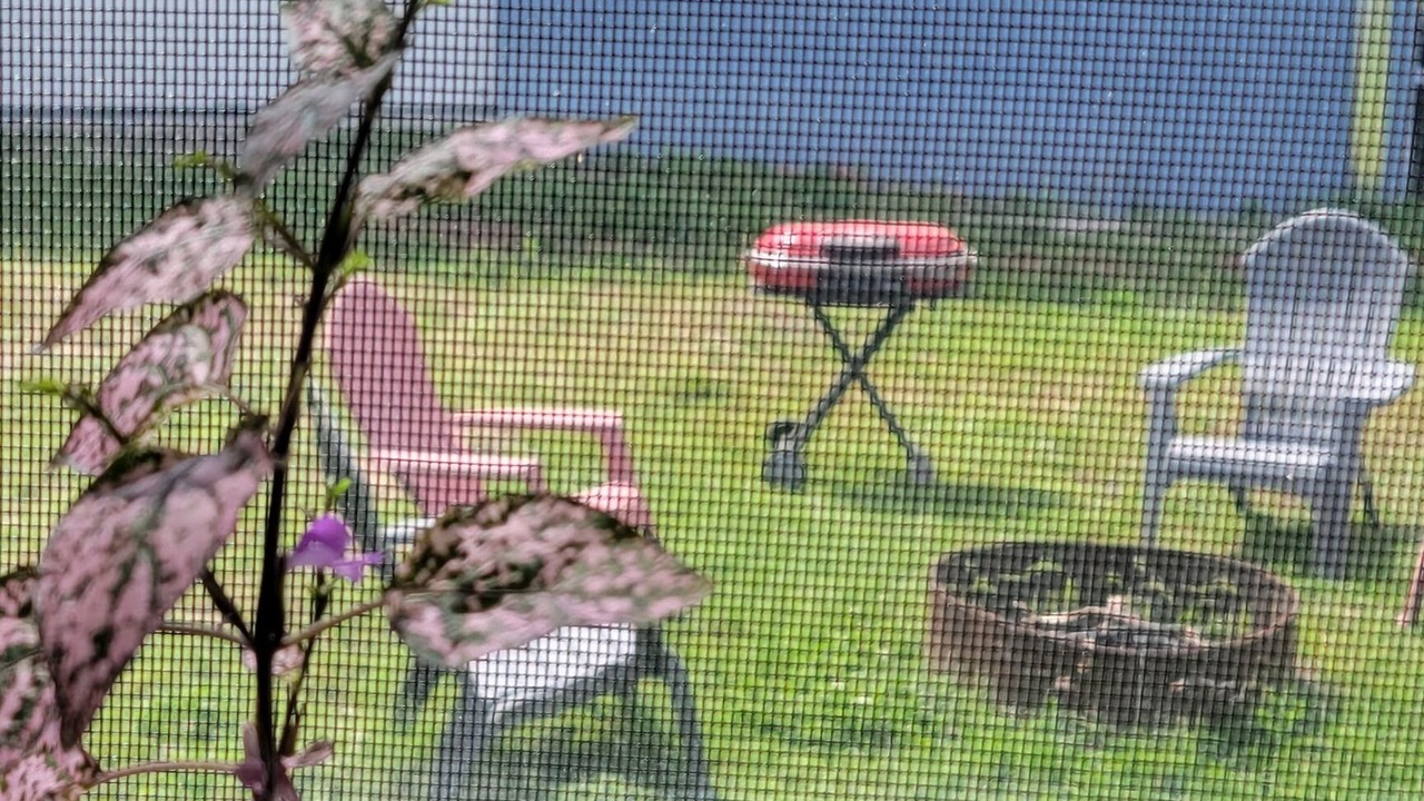 Photo of Outdoor in Riverview