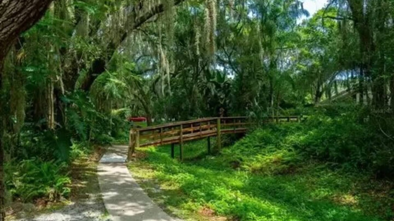 Photo of Outdoor in The Meadows