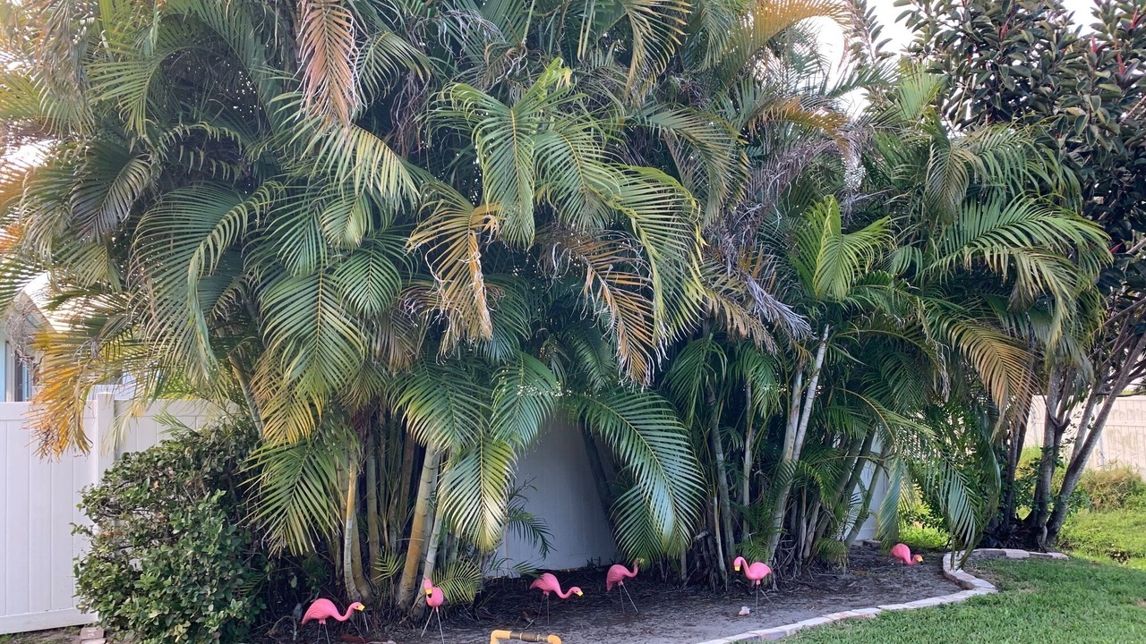 Photo of Outdoor in Sebastian Highlands