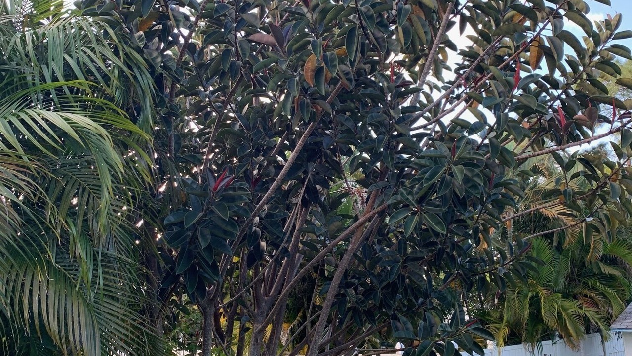 Photo of Outdoor in Sebastian Highlands