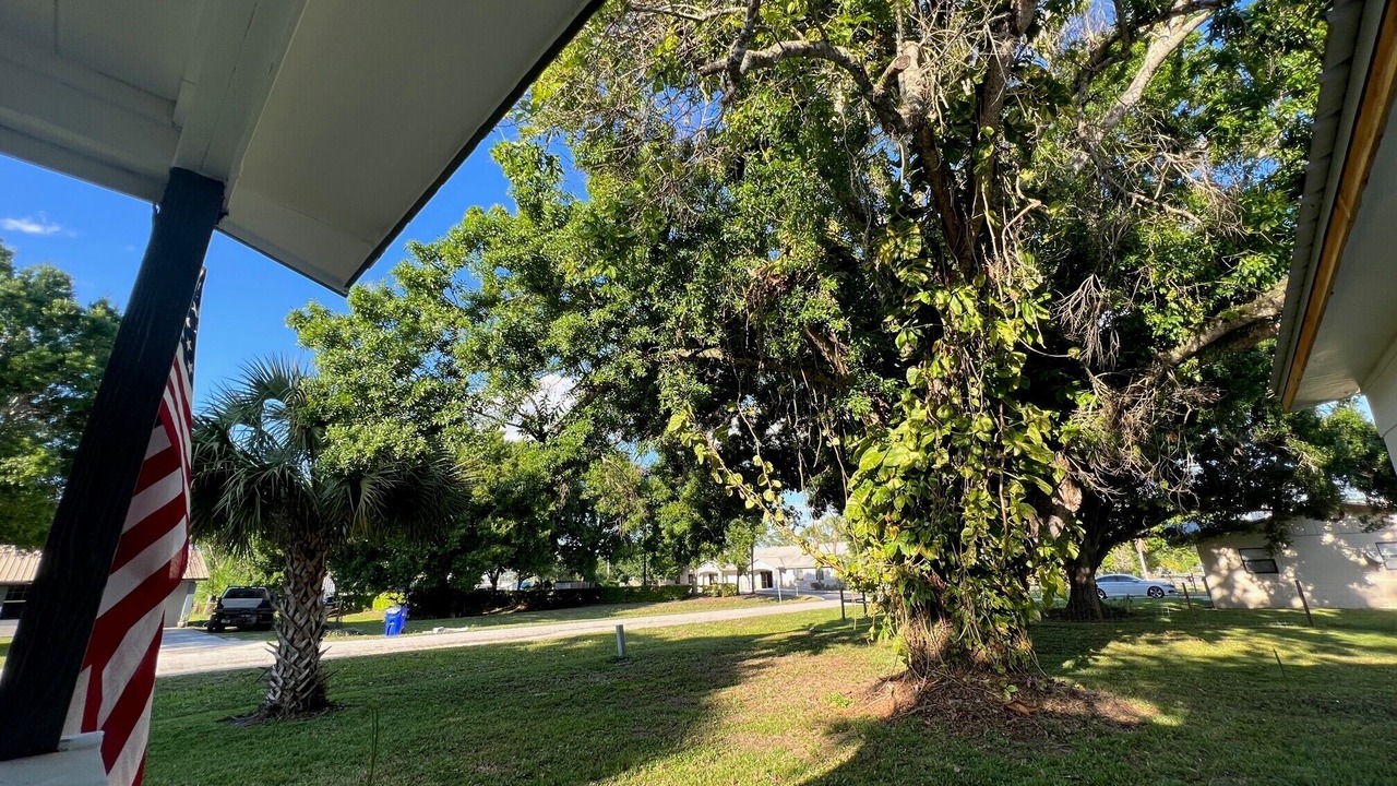 Photo of Outdoor in Okeechobee