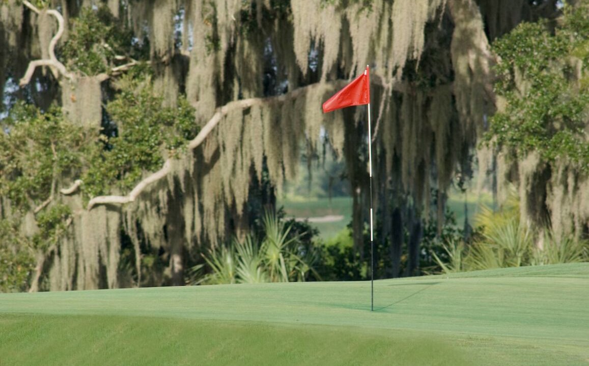 Photo of Others in Braden River