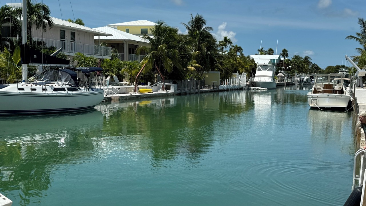 Photo of Others in Summerland Key
