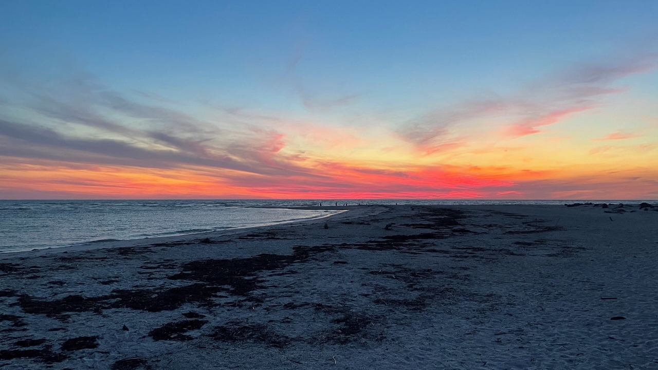 Photo of Others in North Captiva