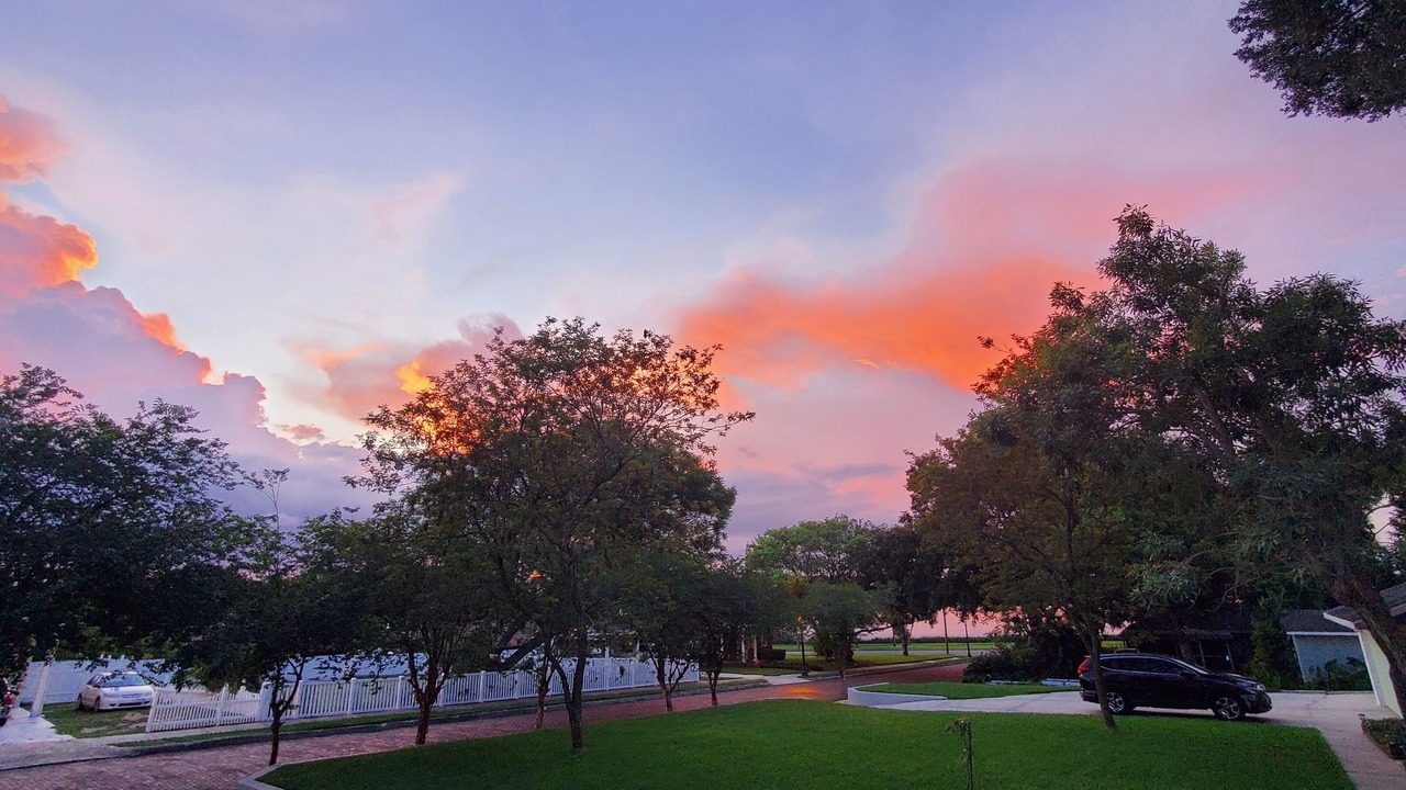 Photo of Outdoor in Dixieland