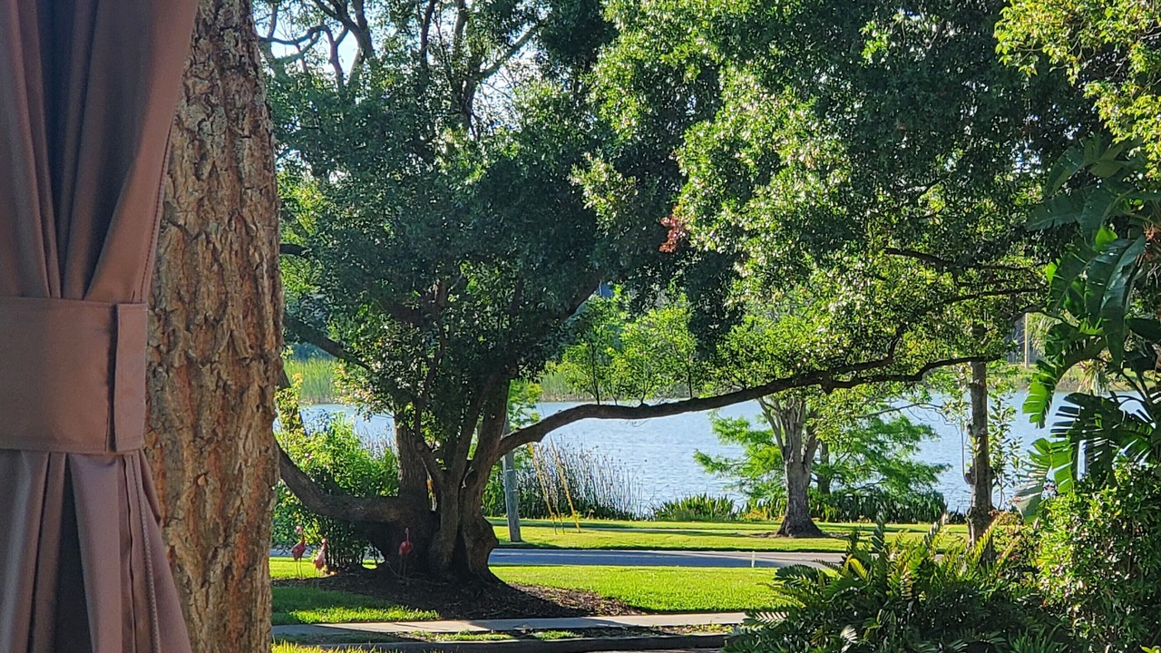 Photo of Outdoor in Dixieland