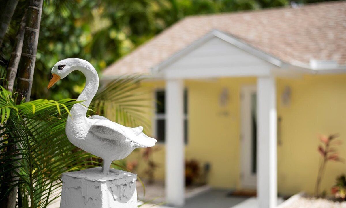Photo of Outdoor in Juno Beach