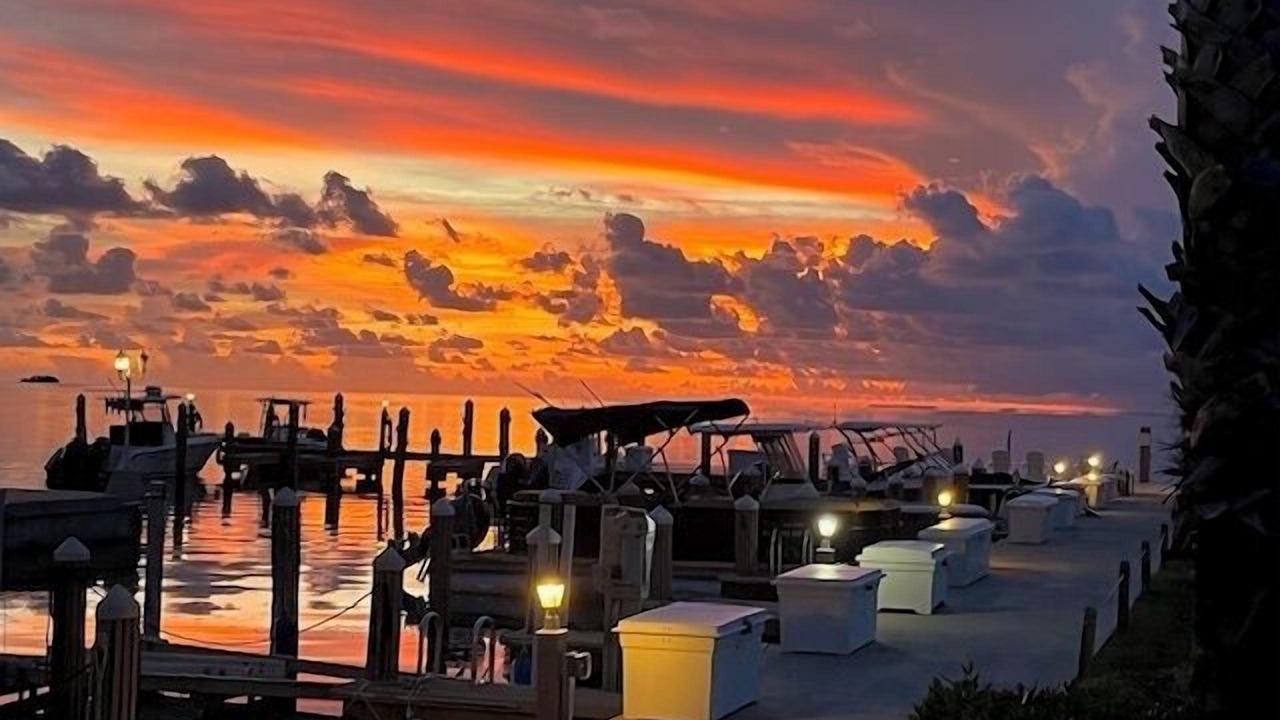 Photo of Others in Tavernier