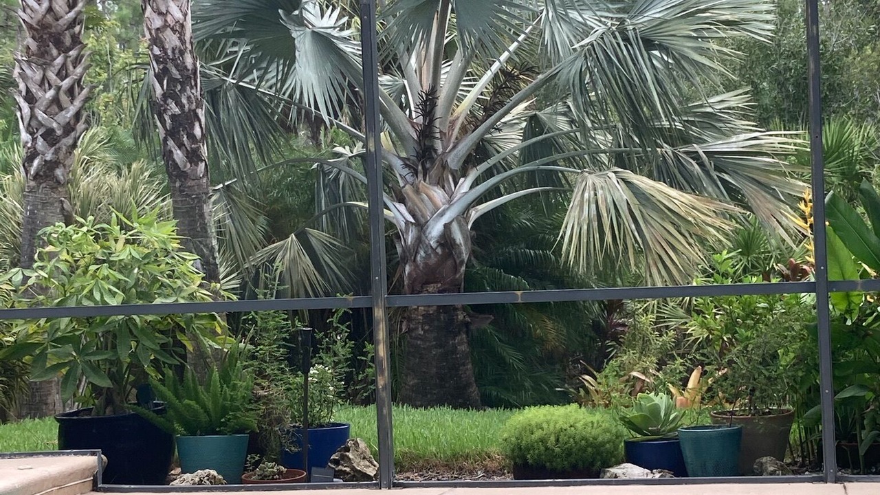 Photo of Outdoor in Fort Myers